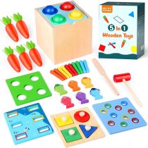 5 in 1 Wooden Montessori Toy (2)