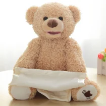 Peekaboo Hide & Seek Teddy Bear (2)